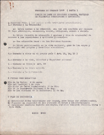 Documento de Trabajo. Comité de DDHH