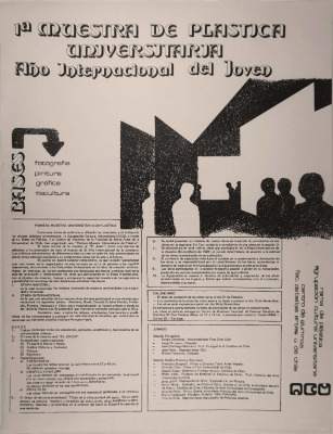 1era muestra de plástica universitaria. Año internacional del joven 