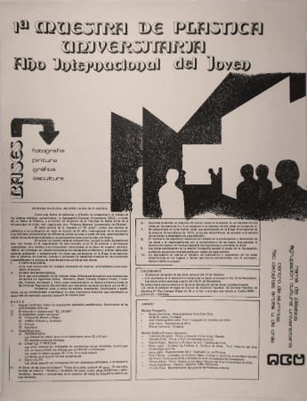 1era muestra de plástica universitaria. Año internacional del joven 