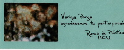 Agradecimientos a participantes