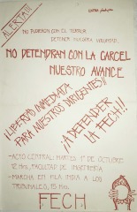 No detendrán con la cárcel nuestro avance