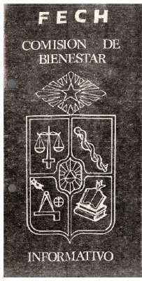 Comisión de Bienestar FECH