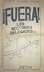 Fuera los rectores delegados